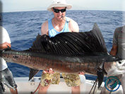 Marlin fishing cabos, Ursulas Fishing Fleets, Ursulas Fishing, Marlin fishing Cabo San Lucas, fishing chartes cabo